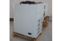 Unidade de refrigeração de HP Monoblock do armazenamento frio 3 para congelador fixado na parede